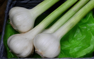 Fresh Local Leeks