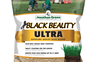 Lawn Maintenance: The Importance of Autumn Overseeding