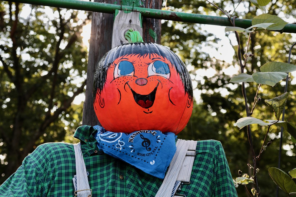 In Germany, scarecrows were wooden and shaped to look like witches.