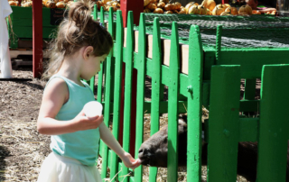 The joy on a child’s face after they get to interact with the gentle and sweet petting zoo animals will leave a lasting impression, and a memorable experience.