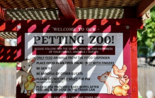 The petting zoos give the parents the opportunity to expose their children to the animals and let the children have fun.