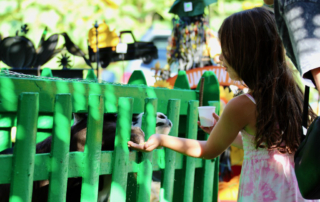 The petting zoo will be a favorite place for children without a doubt, and gets you outside to enjoy the fresh air!
