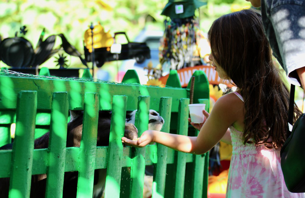 The petting zoo will be a favorite place for children without a doubt, and gets you outside to enjoy the fresh air!