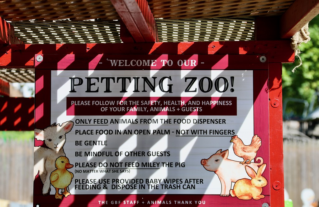 The petting zoos give the parents the opportunity to expose their children to the animals and let the children have fun.