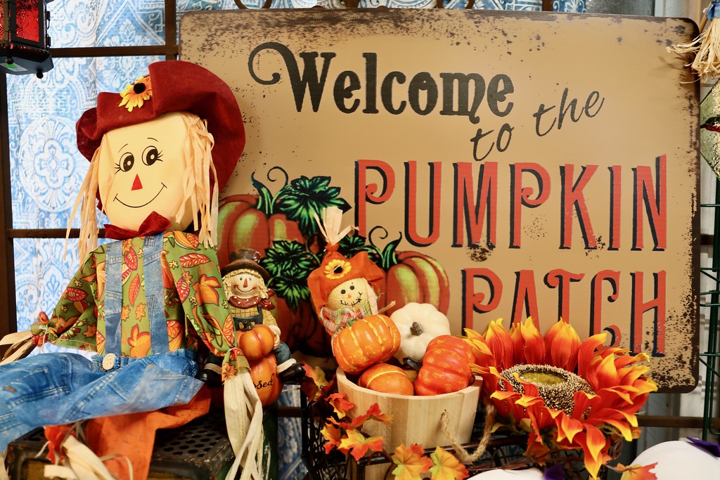 Each year, we create an Autumnal Wonderland full of one-of-a-kind displays and locally-grown pumpkins of every shape and size. 