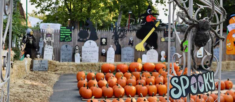 Can You Survive The Cemetary To Reach The Pumpkin Patch