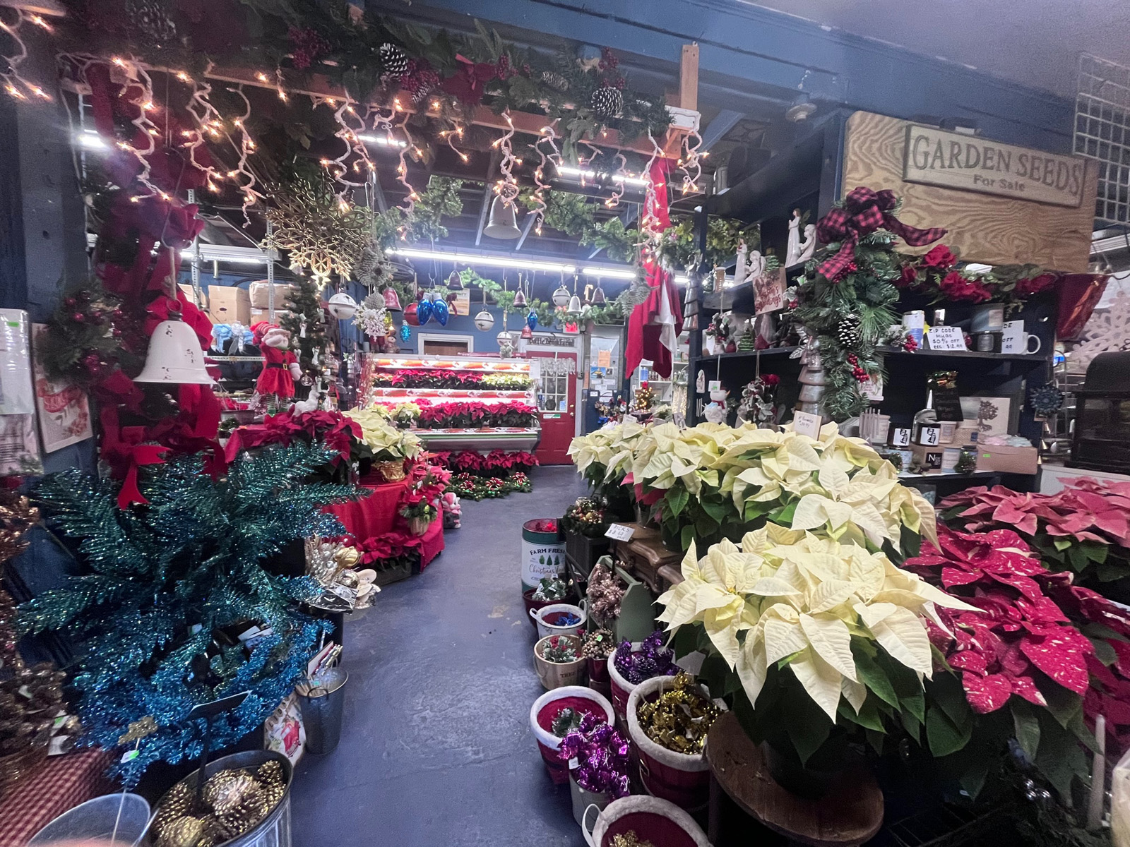You will find the largest selection of all types of wreaths, greens, roping, garland and boughs in the area right here at Goffle Brook Farms in Ridgewood.