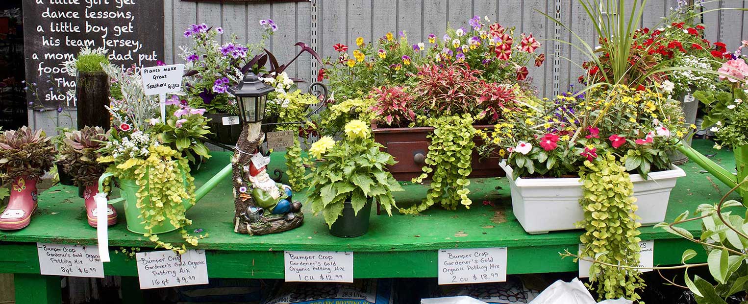 Containers are a great idea for any deck, patio, balcony or front stoop. 