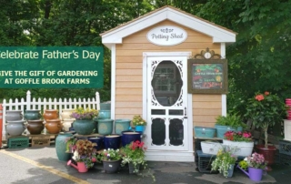 Give the Gift of Gardening this Fathers Day