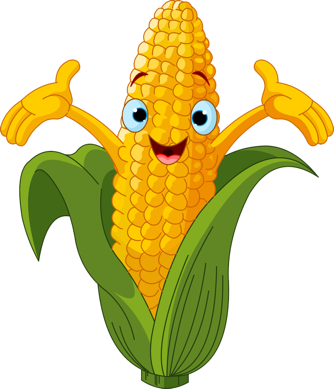 Fun Facts about Corn on the Cob 