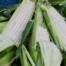 Fresh local sweet corn in the farmer's market at Goffle Brook Farms