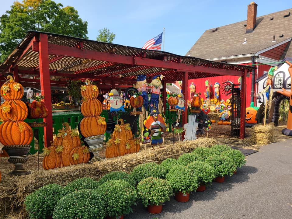 place bales of hay in your garden beds and around the lawn. Surround the bales with corn stalks, colorful gourds and festive-looking Indian corn. Add a scarecrow or two and a few jack-o-lanterns