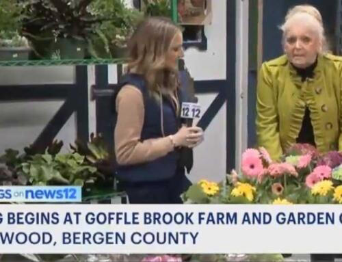 News 12 Live at Goffle Brook Farms