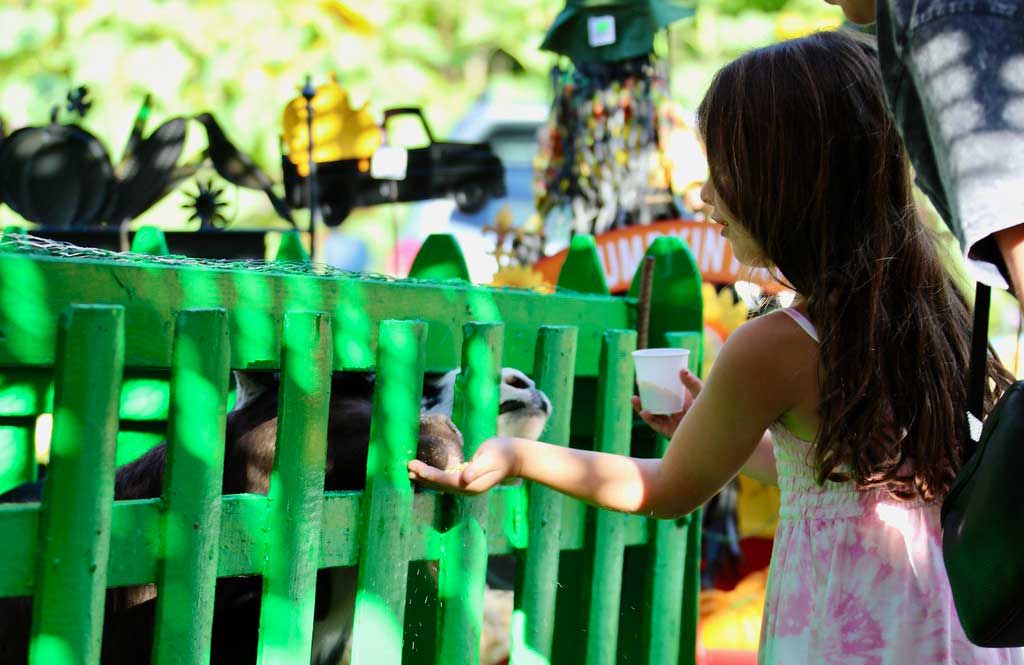 There are many benefits to your child or your children when you take them to a petting zoo for the first time.