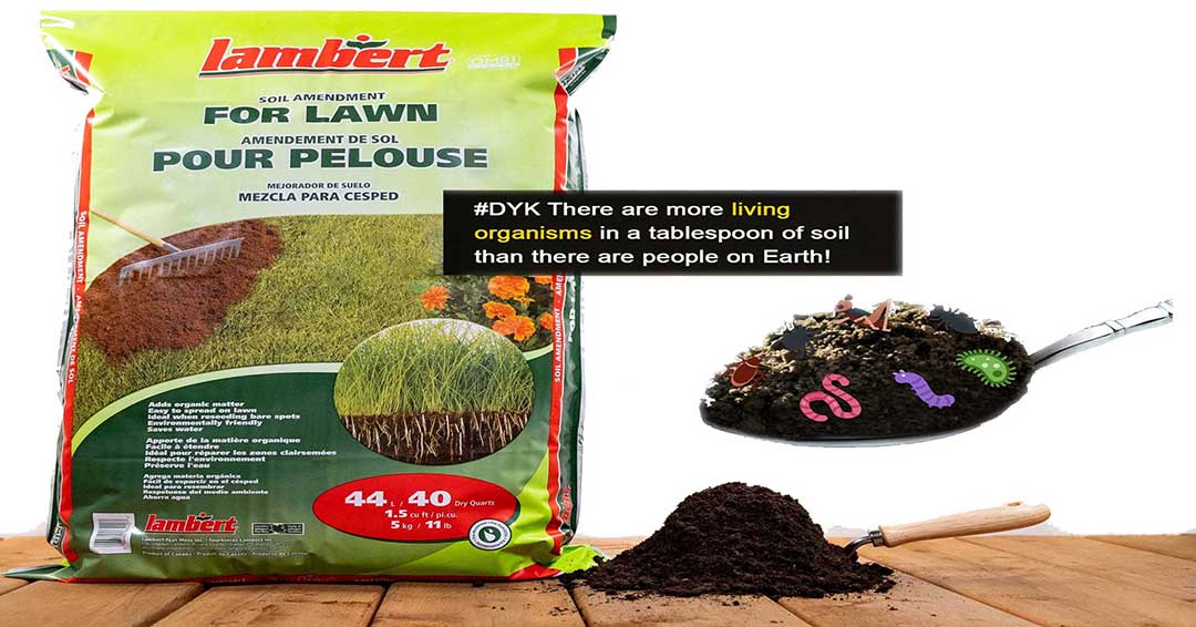 there are more living things in one teaspoon of soil than there are people on the planet