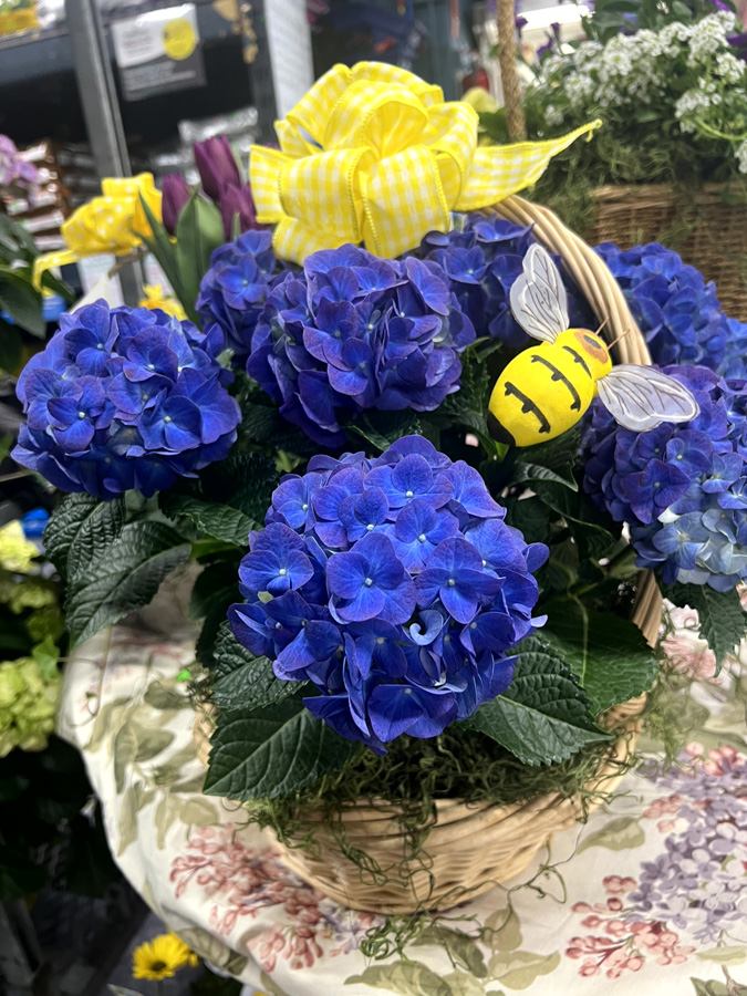 Easter Flowers at Goffle Brook Farm in Ridgewood NJ