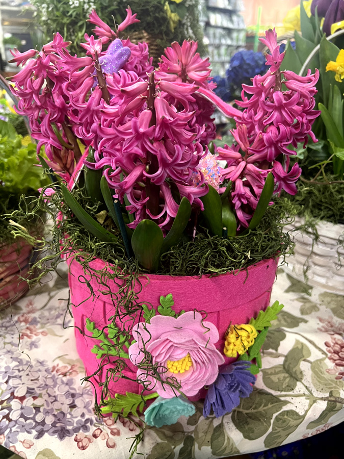 Easter Flowers at Goffle Brook Farm in Ridgewood NJ