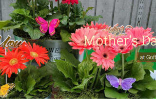 Mothers Day Gifts at the Garden Center