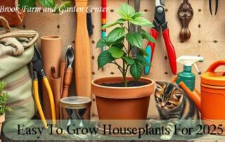 Easy-to-grow houseplants are ideal for beginning or busy gardeners since they require less care. Low maintenance houseplants that do well in low light areas of your home include pothos, hoyas, philodendrons, ferns and sansevierias.