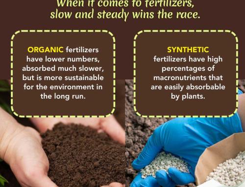 An in-depth Look at garden fertilizers.