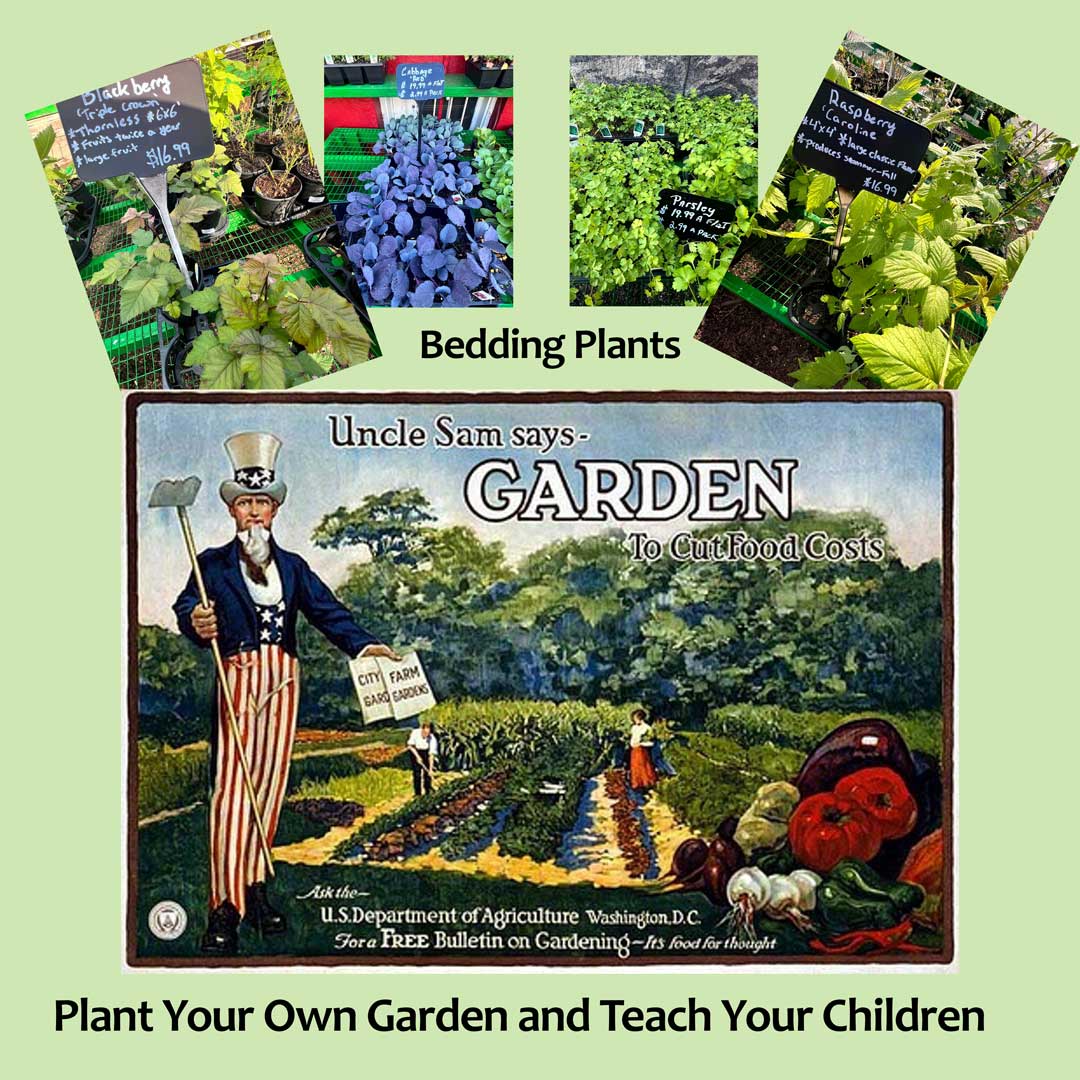 Selecting the right plants for your victory garden is not merely about preference but strategy and what you like to eat.
