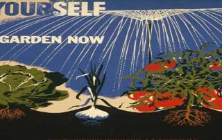 Plant a garden and grow your own food