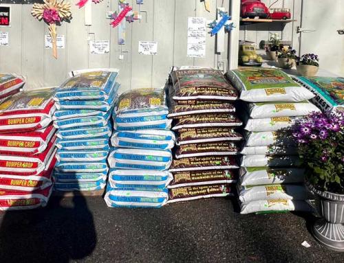 Spring Soil Preparations