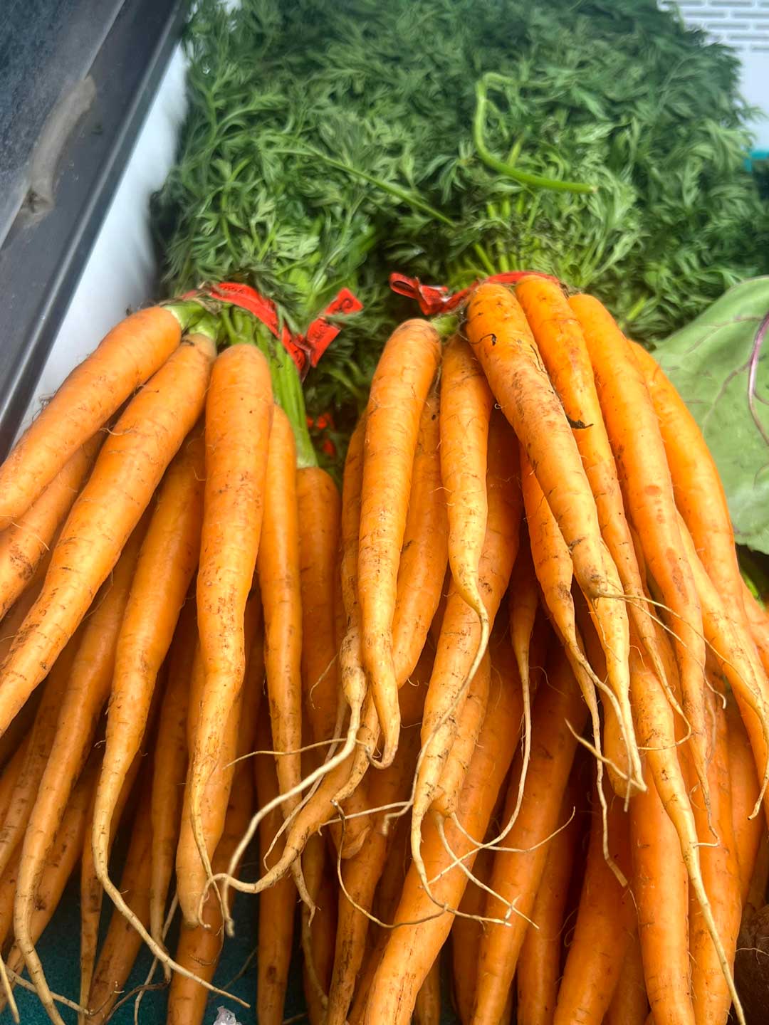 Fresh local produce is back in season in Bergen County, and Goffle Brook Farms has plenty of great local options for your grocery run in our Farmer's market at the garden center in
