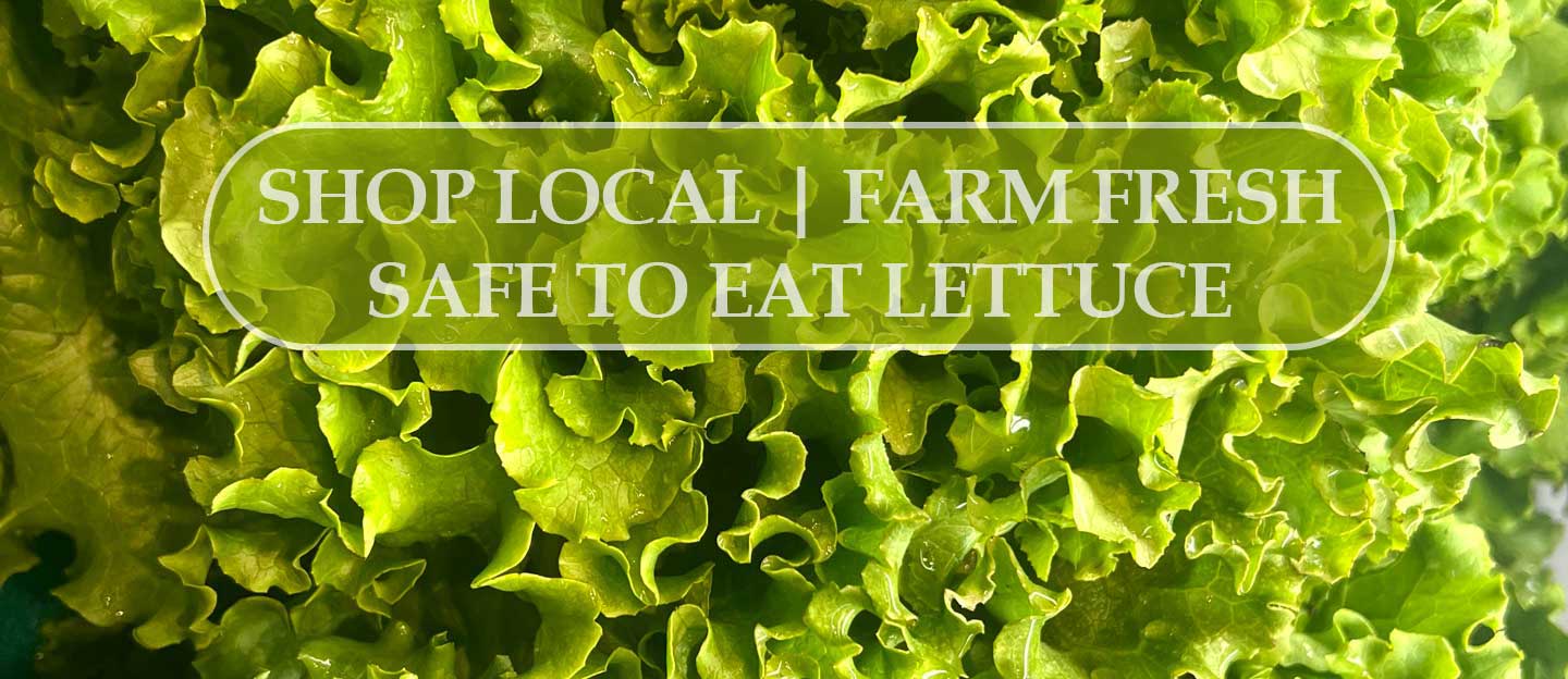 there is no evidence that locally grown New Jersey produce is part of this recall there is no evidence that locally grown New Jersey produce is part of this recall
