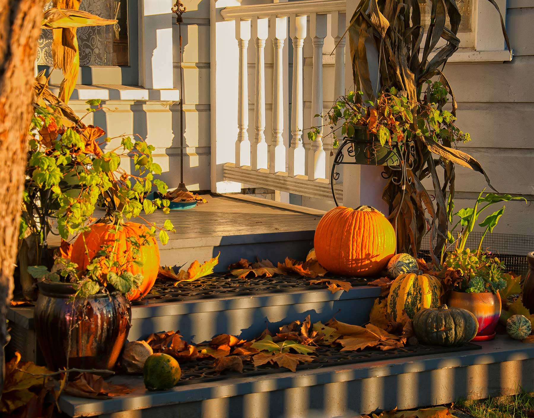 Dress up your porch with pumpkins and foliage in rich fall colors. Dress up your porch with pumpkins and foliage in rich fall colors.