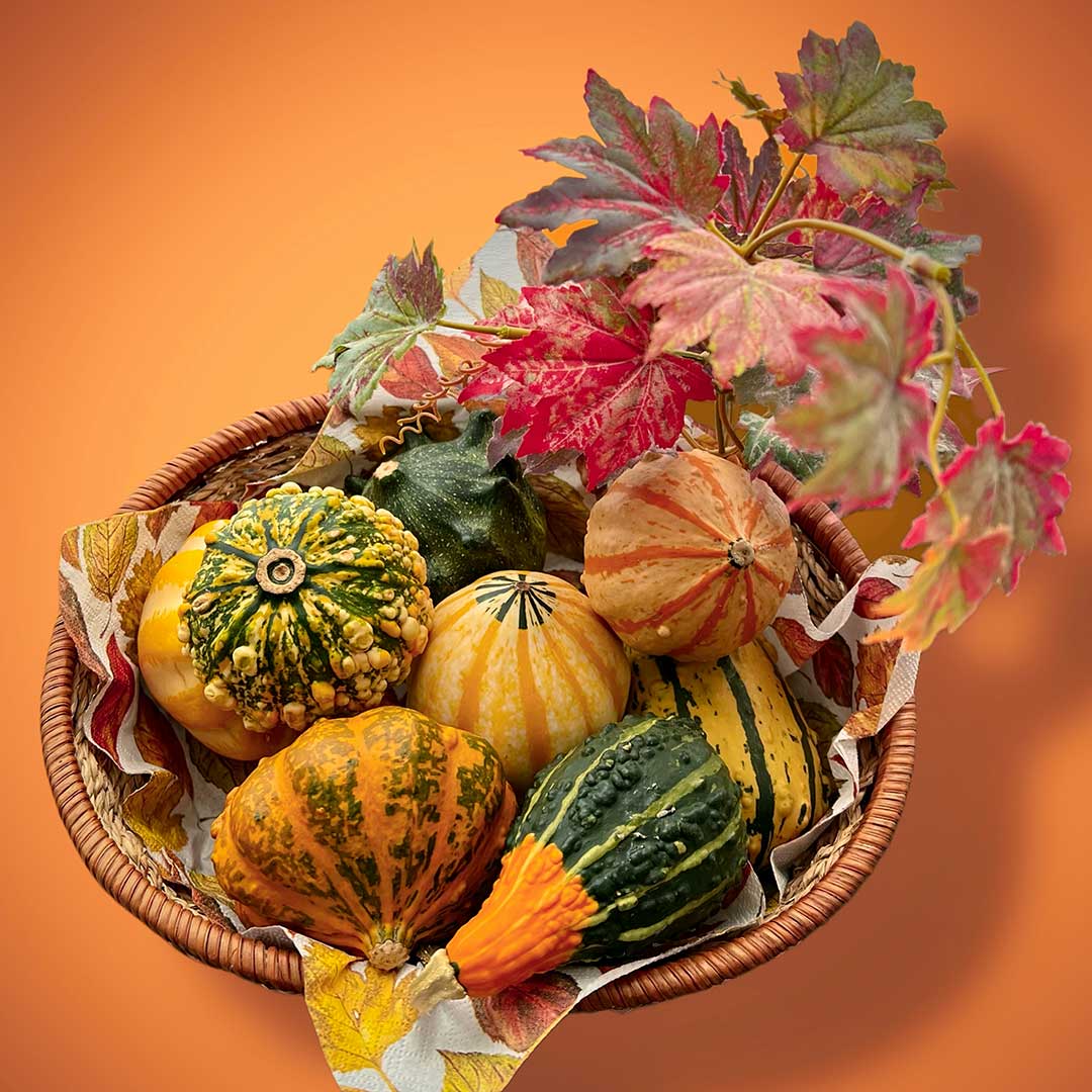 Mix their unique shapes with traditional autumn accents for an abundant, layered look. Mix their unique shapes with traditional autumn accents for an abundant, layered look.